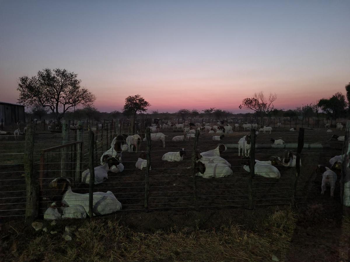 Tamboti Farm Accommodation Tsumeb Eksteriør billede