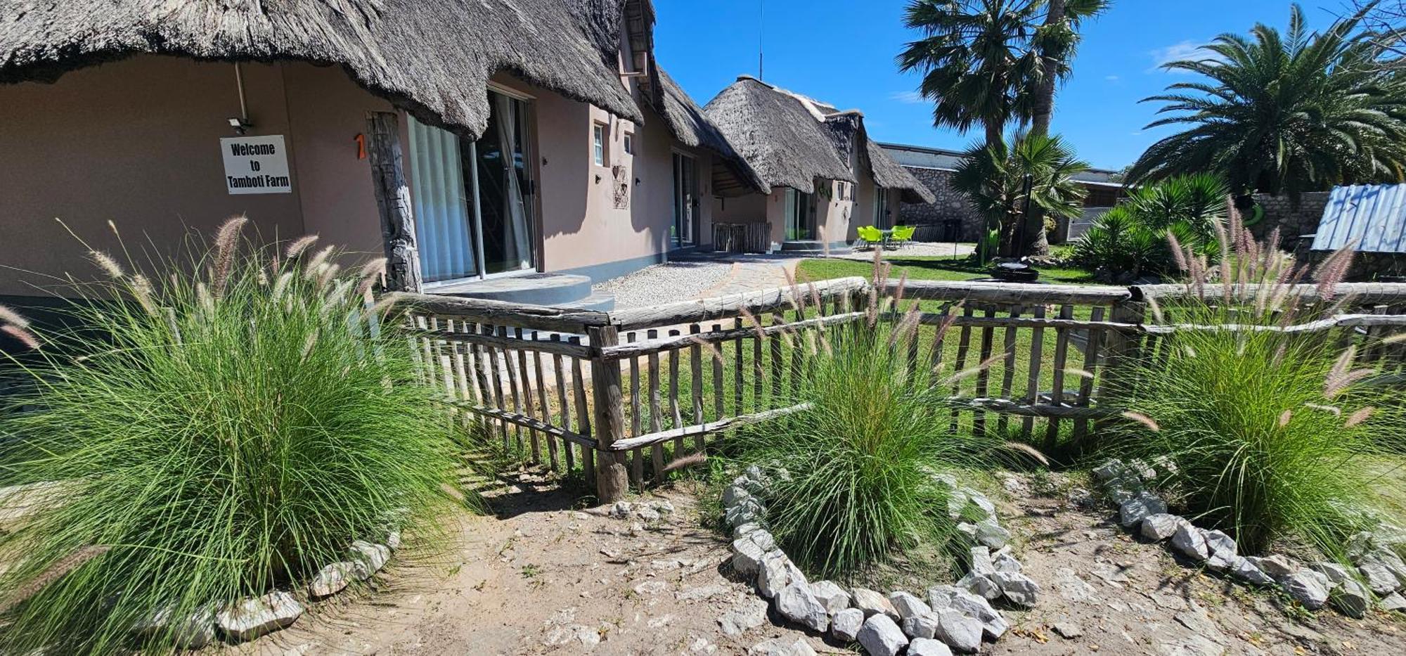 Tamboti Farm Accommodation Tsumeb Eksteriør billede
