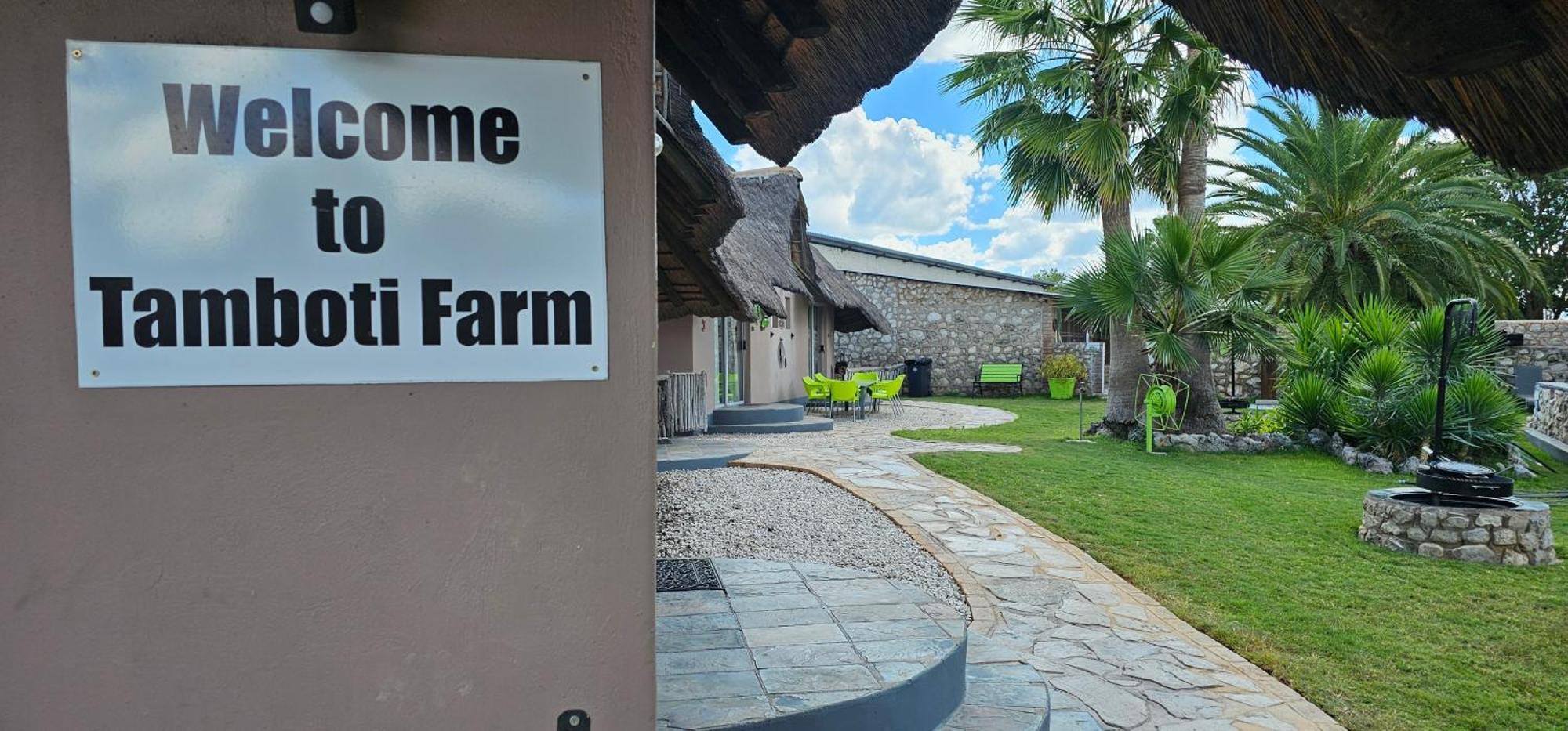 Tamboti Farm Accommodation Tsumeb Eksteriør billede